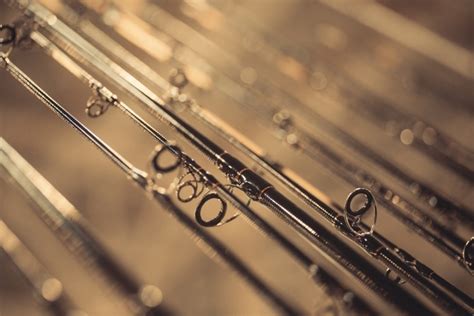 top 10 fishing rod brands|The Best Fishing Rods of 2024 .